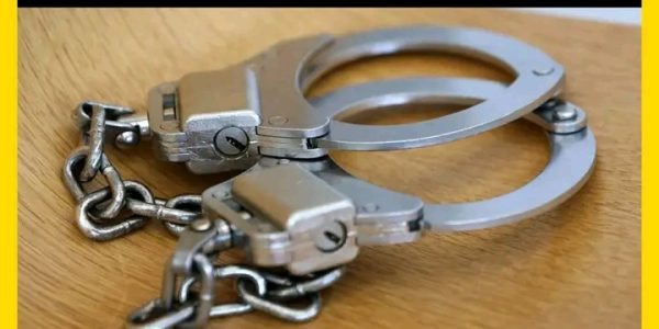 Chicago – Federal immigration authorities carried out a significant operation on Saturday, resulting in the arrest of 11 individuals at parking lots near O'Hare International Airport.