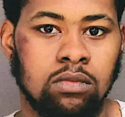 Moment a Good Samaritan thwarts suspect trying to grab 2-year-old from her mom on Pennsylvania street