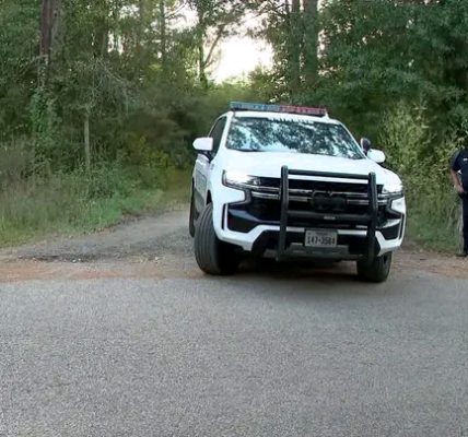 Atmore, Alabama — A quiet Friday morning drive turned into a heartbreaking tragedy when a 74-year-old woman lost