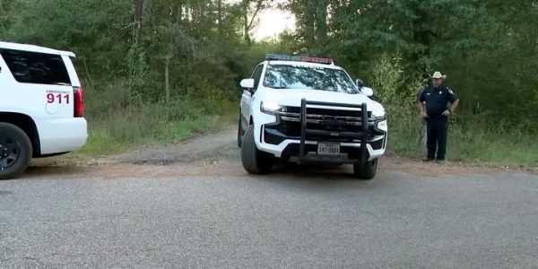 Atmore, Alabama — A quiet Friday morning drive turned into a heartbreaking tragedy when a 74-year-old woman lost