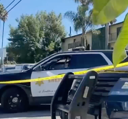 California mom arrested on murder charge after 7-year-old’s remain are found in a freezer