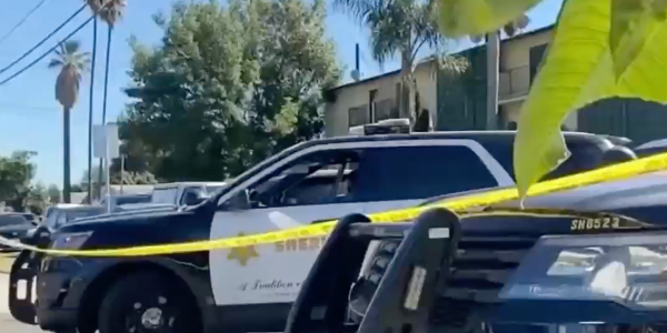 California mom arrested on murder charge after 7-year-old’s remain are found in a freezer