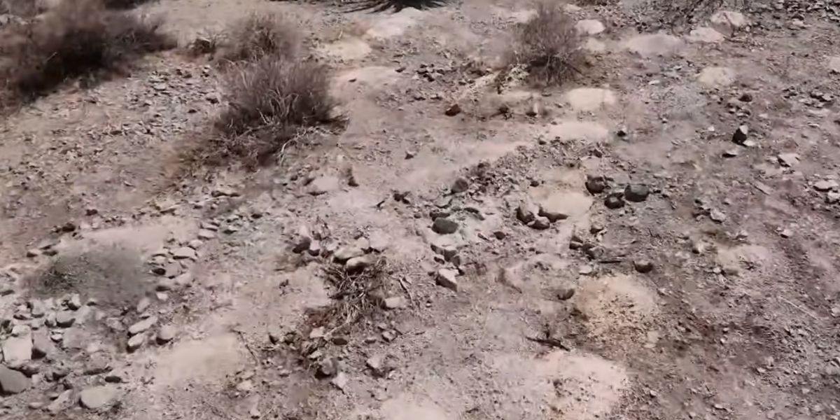 More than 300 piles of human remains have been recovered from the Vegas desert. Cops still don’t know who left them there