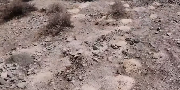 More than 300 piles of human remains have been recovered from the Vegas desert. Cops still don’t know who left them there