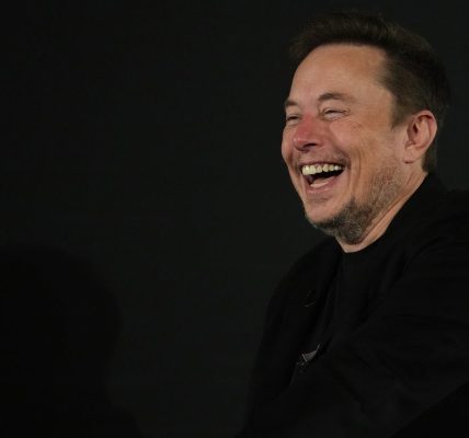 Elon Musk speaks out as beloved San Francisco bodega cat is killed by autonomous Waymo vehicle