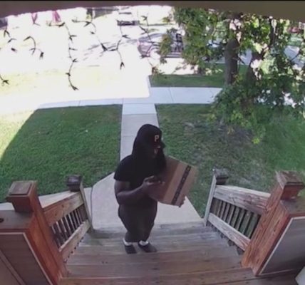 Illinois SAFE-T Act lets alleged repeat Chicago-area theft suspect walk after multiple arrests