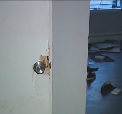 'ICE is not about safety': Chicago residents, lawmakers condemn raid in South Shore