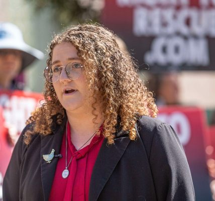 California animal activist could face years in jail for taking ‘neglected’ chickens from Petaluma poultry farm