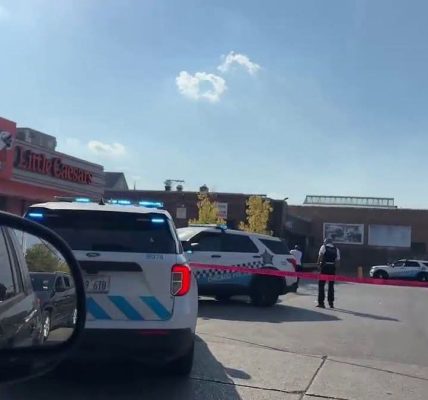 Chicago, Illinois — Fatal Shooting Near Little Caesars Leaves 29-Year-Old Man Dead, Police Investigating