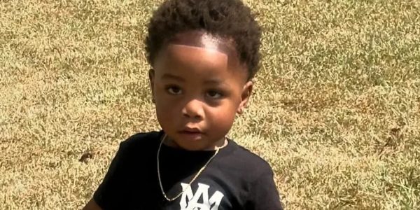 Valdosta, Georgia – A 2-year-old child was tragically mauled to death by dogs after being left unattended by a babysitter, authorities reported.