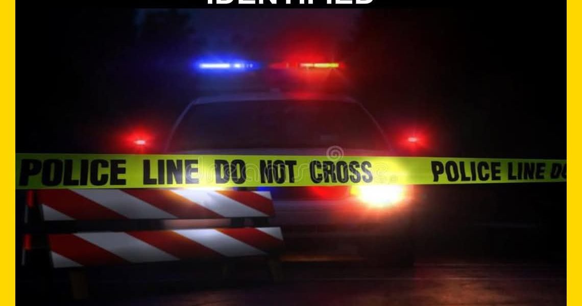 Chicago — Jackine Austin Killed After Metal Object Smashes Through Windshield on Dan Ryan Expressway