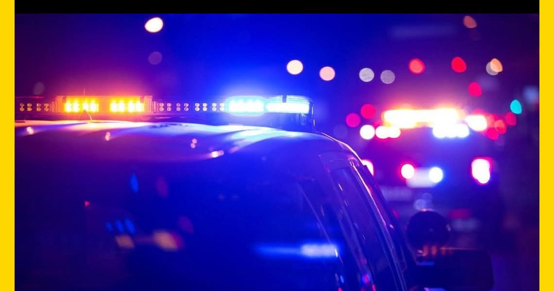 Valdosta, Georgia — Toddler Killed by Dogs at Unlicensed Daycare, Owner Arrested on Murder Charges