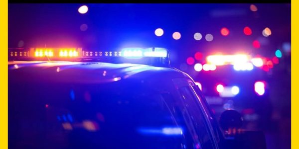 Valdosta, Georgia — Toddler Killed by Dogs at Unlicensed Daycare, Owner Arrested on Murder Charges