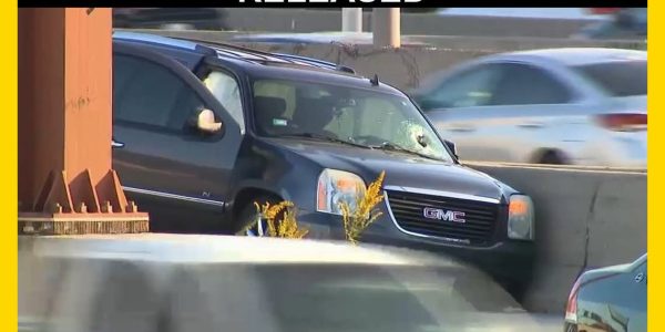 Chicago, Illinois — Man Killed on Dan Ryan Expressway After Metal Object Crashes Through Windshield