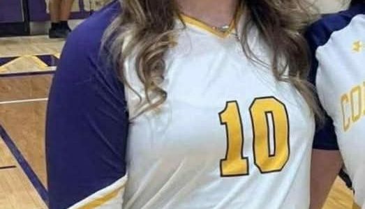 Kansas City, Kansas – A Kansas girl, Serafina O’Connell, who tragically passed away days after a collision allegedly caused by a driver fleeing from police, will