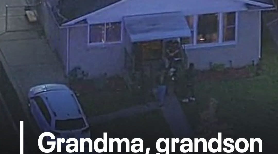 St. Louis – A heartbreaking tragedy unfolded when a grandmother was allegedly shot and killed by her own grandson, who then turned the gun on himself,