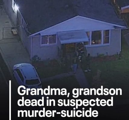St. Louis – A heartbreaking tragedy unfolded when a grandmother was allegedly shot and killed by her own grandson, who then turned the gun on himself,