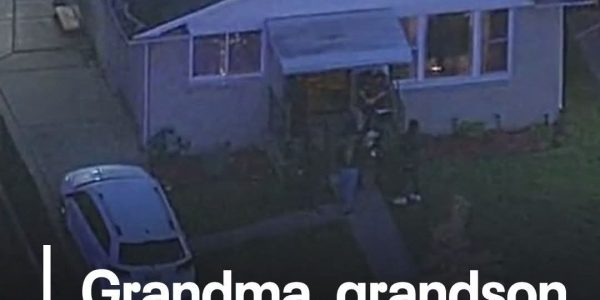 St. Louis – A heartbreaking tragedy unfolded when a grandmother was allegedly shot and killed by her own grandson, who then turned the gun on himself,