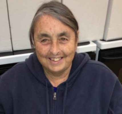 Chapel Hill, Arkansas – Diane McElfresh, 73, lost her life in a tragic three-vehicle accident on U.S. Route 40 near Chapel Hill Road Wednesday evening. The