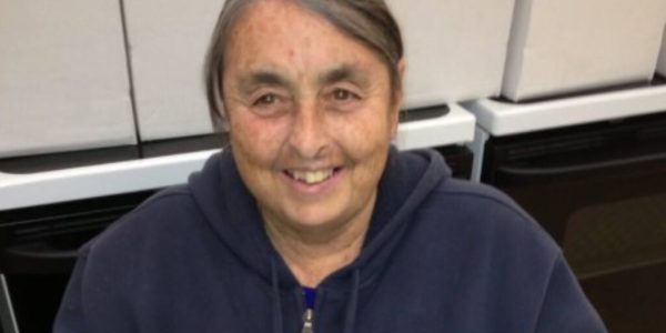 Chapel Hill, Arkansas – Diane McElfresh, 73, lost her life in a tragic three-vehicle accident on U.S. Route 40 near Chapel Hill Road Wednesday evening. The