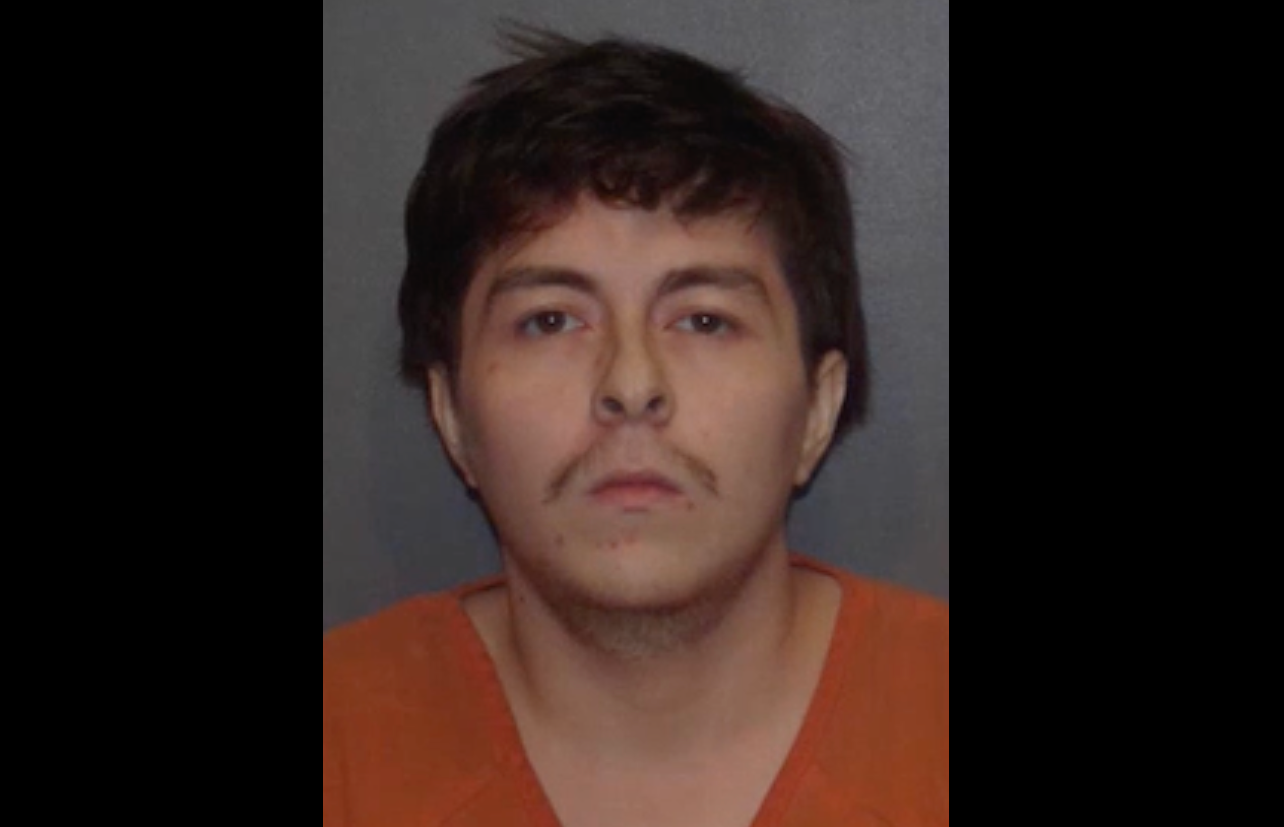 A Texas man has been arrested after allegedly holding a driver who hit and killed his dog at gunpoint and forcing him to give his own grave. Alberto Joshua Hernandez, 22, is accused of forcing the man to withdraw money from an ATM to compensate him for his loss