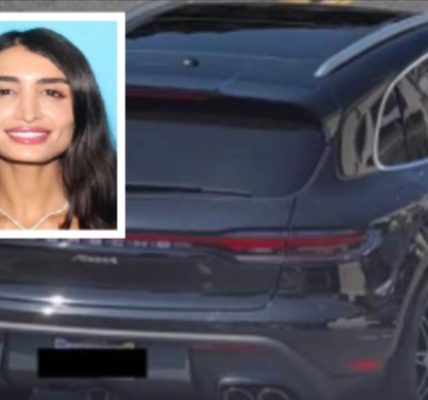 Hunt on for glamorous Porsche-driving former pin-up accused of dating older men so she could burglarize their homes