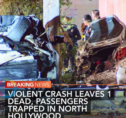 Riverside, California – Authorities say a devastating tragedy unfolded when a man fatally stabbed his father during what police described as a mental health crisis.