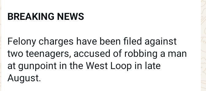 Chicago — Two Teenagers Charged After Armed Robbery in West Loop Leaves Community on Edge