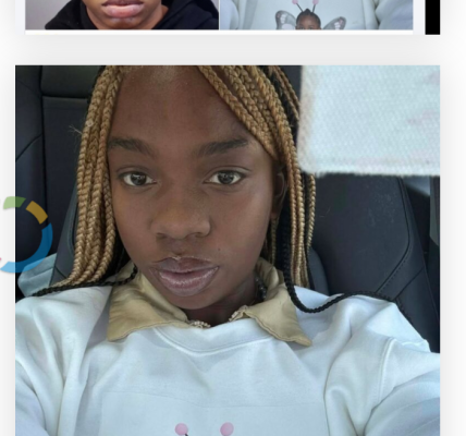 Southfield, Michigan — Ada Mae Simmons-Jones, 44, was fatally shot during a domestic dispute late October 5 in her Southfield home, leaving family and neighbors in shock.