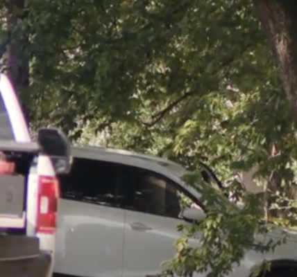 Four dead after gunman goes on shooting spree on 24-mile stretch of Texas interchange, police say