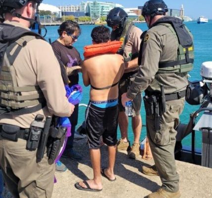Undocumented immigrant arrested in Lake Michigan near Navy Pier during Chicago crackdown, Border Patrol says