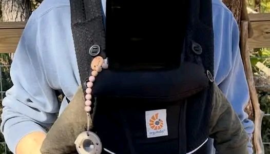 Family Tragedy in Taylors: Community Grieves Loss of Missing Father Nicholas Spera