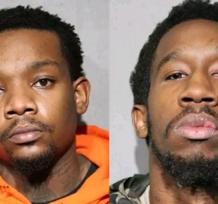 Cook County duo arrested one hour after Chicago carjacking on I-57