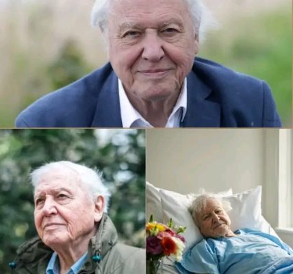 London, United Kingdom — Sir David Attenborough Obituary Death News: Esteemed Broadcaster And Environmental Advocate Passes