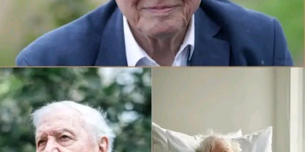 London, United Kingdom — Sir David Attenborough Obituary Death News: Esteemed Broadcaster And Environmental Advocate Passes
