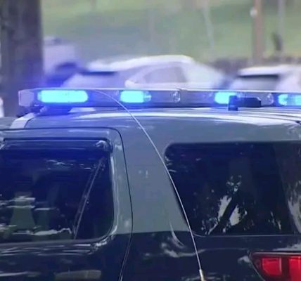 Hope Springs, North Carolina — Michael Jones Obituary Death News: 22-Year-Old Lost After Crash