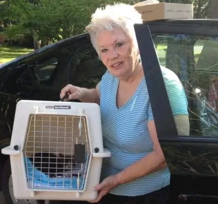 Lake Grove, New York Tragedy Claims Life of Beloved Animal Rescuer and Travel Consultant, Tina Santo