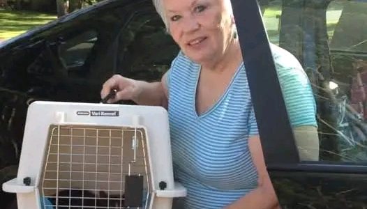 Lake Grove, New York Tragedy Claims Life of Beloved Animal Rescuer and Travel Consultant, Tina Santo