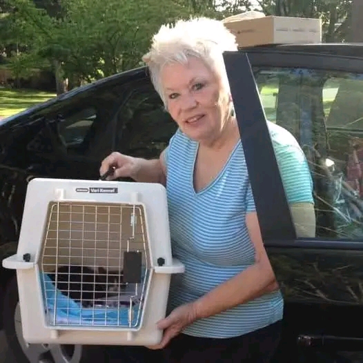 Lake Grove, New York Tragedy Claims Life of Beloved Animal Rescuer and Travel Consultant, Tina Santo