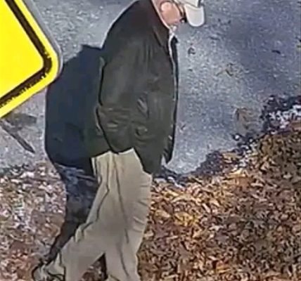 Blairsville, Georgia — Charles Hosch Missing on Blood Mountain Under Mysterious Circumstances