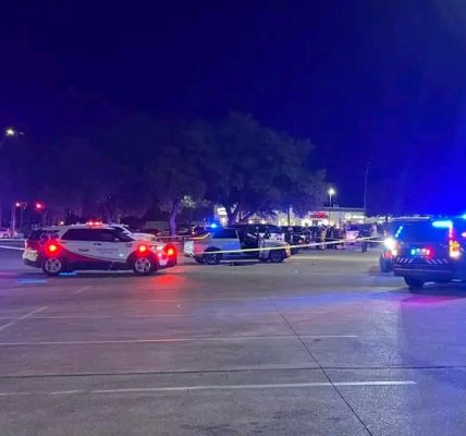 Birmingham, Alabama Bria Danielle McNeal-Williams Loses Life During 10th Street Home Invasion