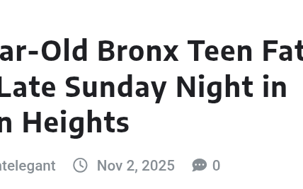 16-Year-Old Bronx Teen Fatally Shot Late Sunday Night in Crown Heights