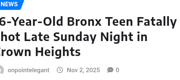 16-Year-Old Bronx Teen Fatally Shot Late Sunday Night in Crown Heights