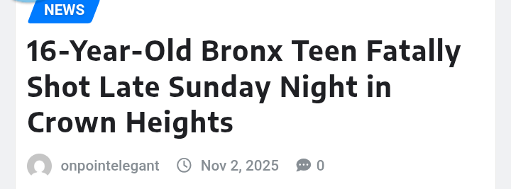 16-Year-Old Bronx Teen Fatally Shot Late Sunday Night in Crown Heights