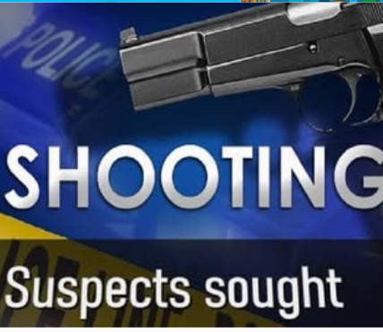 Bath Township Airbnb Party Shooting Injures Nine Juveniles Early Sunday Morning