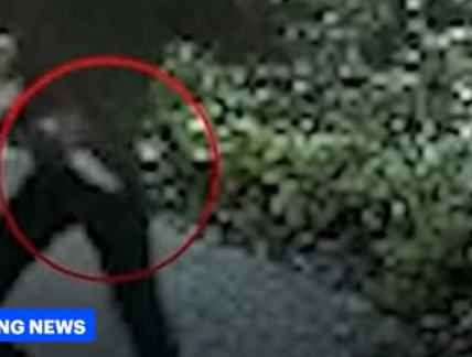 Train Attack Horror: Anthony Williams Charged with 11 Attempted Murders in Britain