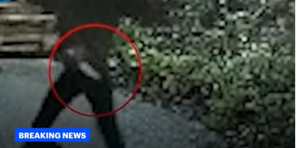 Train Attack Horror: Anthony Williams Charged with 11 Attempted Murders in Britain