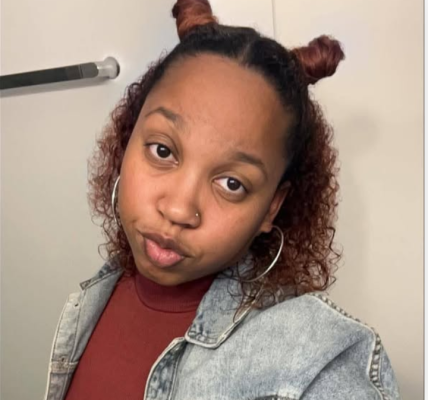 Gurnee Illinois Tragedy: Bria Allen, 29, Loses Life in Devastating Head-On Collision