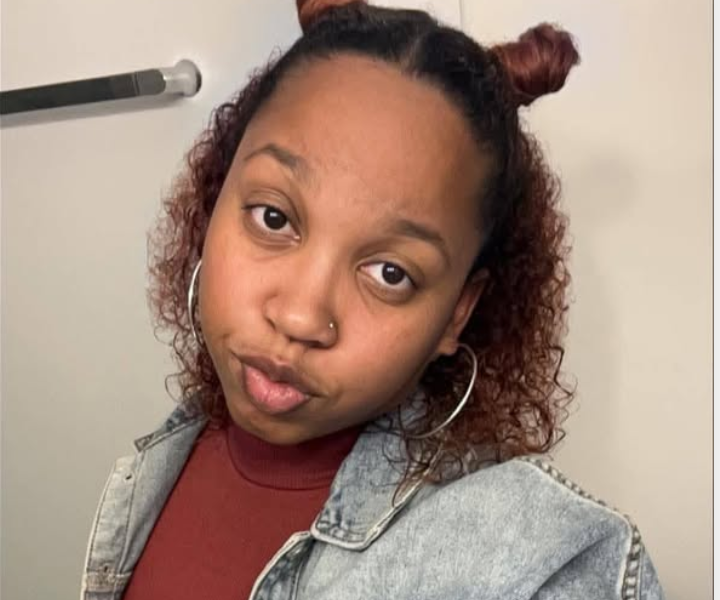 Gurnee Illinois Tragedy: Bria Allen, 29, Loses Life in Devastating Head-On Collision