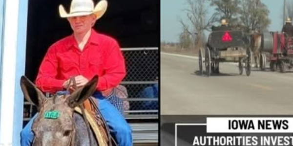 Clarke County Community Mourns Young Elmer Borntrager After Hit-and-Run Horse-Drawn Buggy Crash